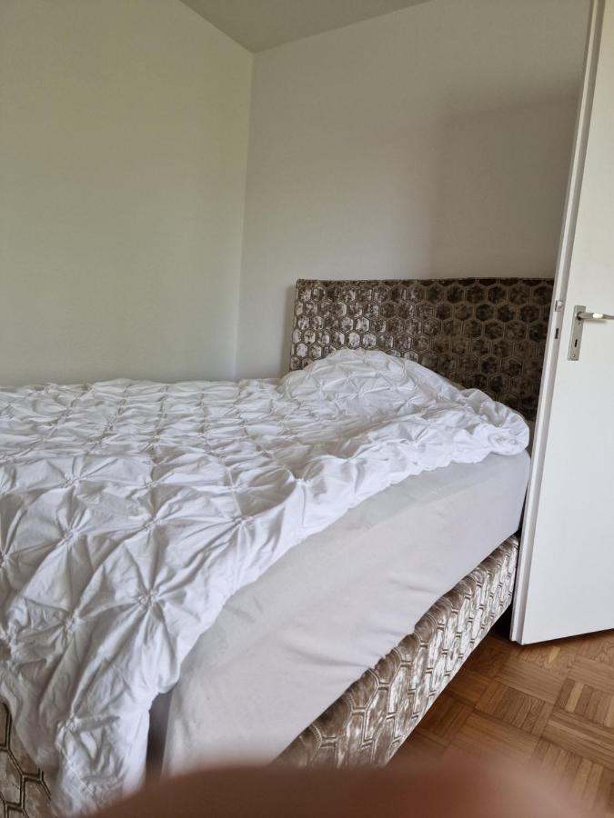 Appartement Am Stadtpark Mit Parkplatz 1zkb 48qm